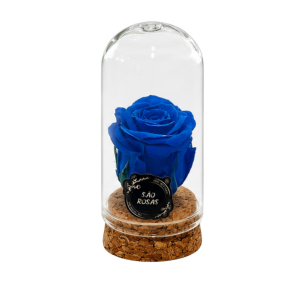 Rosa Eterna XXS – Pack com 24 Unidades Azuis | São Rosas