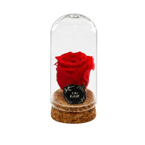 Rosa Eterna XXS – Pack com 24 Unidades Vermelhas | São Rosas