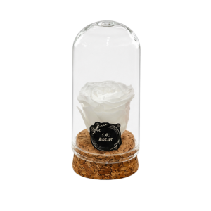 Rosa Eterna XXS – Pack com 24 Unidades Brancas | São Rosas