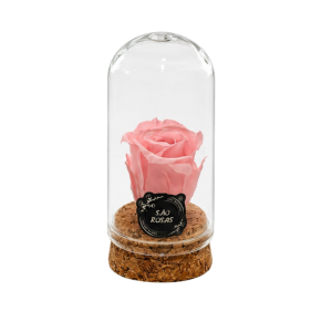 Rosa Eterna XXS – Pack com 24 Unidades Cor-de-rosa | São Rosas