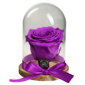 Rosa Eterna NS - Pack com 6 Unidades Lilás | São Rosas