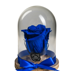 Rosa Eterna NS - Pack com 6 Unidades Azuis | São Rosas