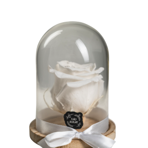Rosa Eterna NS - Pack com 6 Unidades Brancas | São Rosas