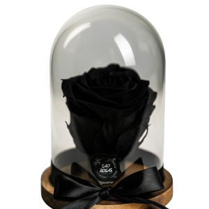 Rosa Eterna NS - Pack com 6 Unidades Pretas | São Rosas