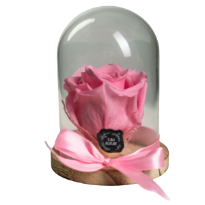 Rosa Eterna NS - Pack com 6 Unidades Cor-de-rosa | São Rosas