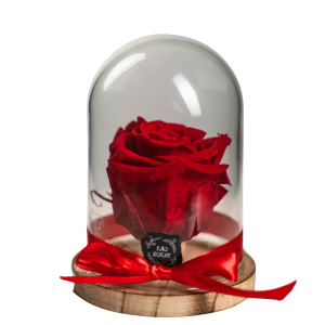 Rosa Eterna NS - Pack com 6 Unidades Vermelhas | São Rosas