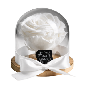 Rosa Eterna SP – Pack com 6 Unidades Brancas | São Rosas