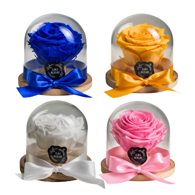 Rosa Preservada SP – Pack com 12 Unidades - Cores Variadas | São Rosas
