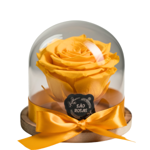 Rosa Eterna SP – Pack com 6 Unidades Amarelas | São Rosas