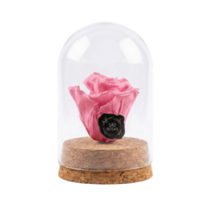 Rosa Eterna XS – Pack com 12 Unidades Cor-de-rosa | São Rosas