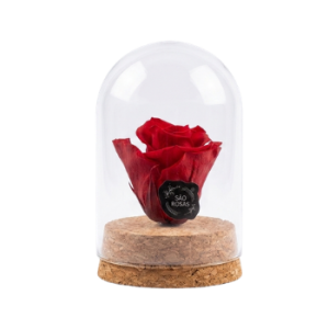 Rosa Eterna XS – Pack com 12 Unidades Vermelhas | São Rosas