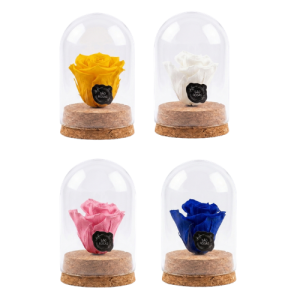 Rosa Preservada XS – Pack com 12 Unidades - Cores Variadas | São Rosas