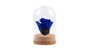 Rosa Eterna XS – Pack com 12 Unidades Azuis | São Rosas