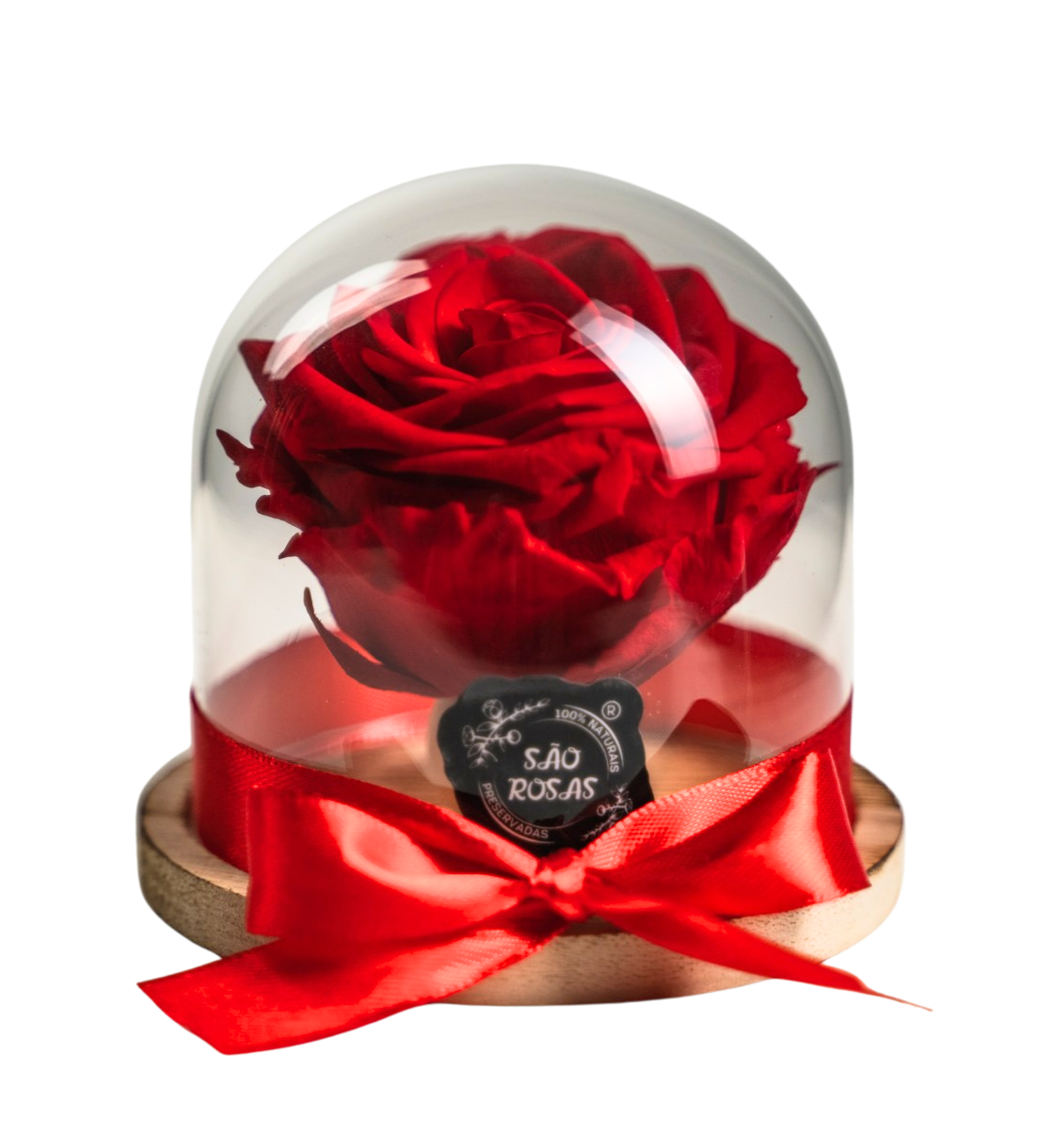 Rosa Eterna SP – Pack com 6 Unidades Vermelhas | São Rosas