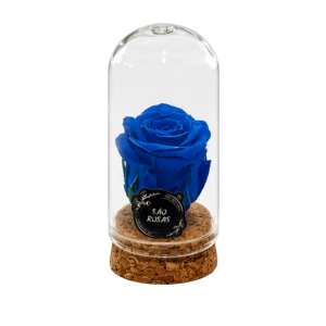 ROSA PRESERVADA AZUL | MINI