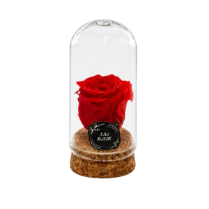 ROSA PRESERVADA VERMELHA | MINI