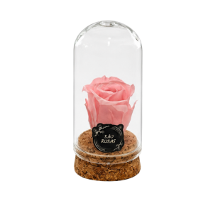 ROSA PRESERVADA COR-DE-ROSA | MINI