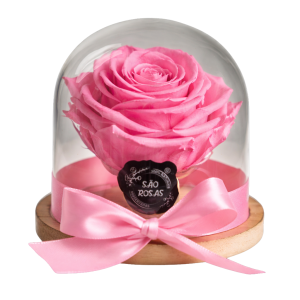 ROSA PRESERVADA COR-DE-ROSA | ELEGANCE