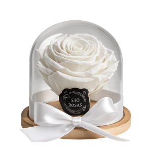 ROSA PRESERVADA BRANCA | ELEGANCE