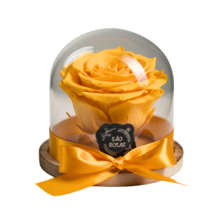 ROSA PRESERVADA AMARELA | ELEGANCE
