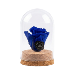ROSA PRESERVADA AZUL | PRINCESS