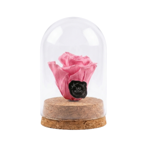 ROSA PRESERVADA COR-DE-ROSA | PRINCESS