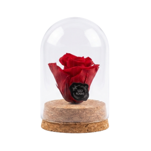 ROSA PRESERVADA VERMELHA | PRINCESS